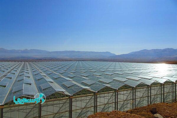 بانک کشاورزی،حامی تولید و کارآفرینان/ احداث بزرگ ترین پروژه گلخانه ای شیشه ای خاورمیانه با حمایت 5000 میلیاردی بانک کشاورزی در منطقه آزاد تجاری ارس