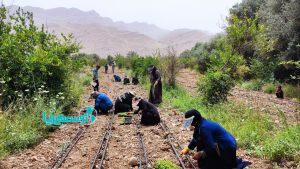 تسهیلات 1100 میلیارد ریالی بنیاد مستضعفان برای اقشار کم برخوردار کهگیلویه و بویراحمد