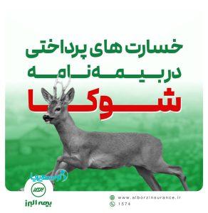 گریزی بر برخی خسارت های پرداختی در طرح شوکا بیمه البرز